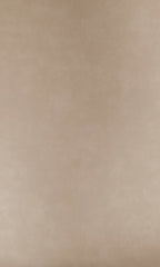 Designer Walls Velvet Champagne Plain DW1007