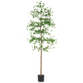 7' Shady Lady Tree