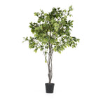 Grand Ficus Tree Drop-In 8'