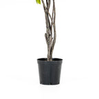 Grand Ficus Tree Drop-In 8'