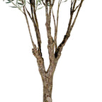 Grand Olive Tree Drop-In 8'